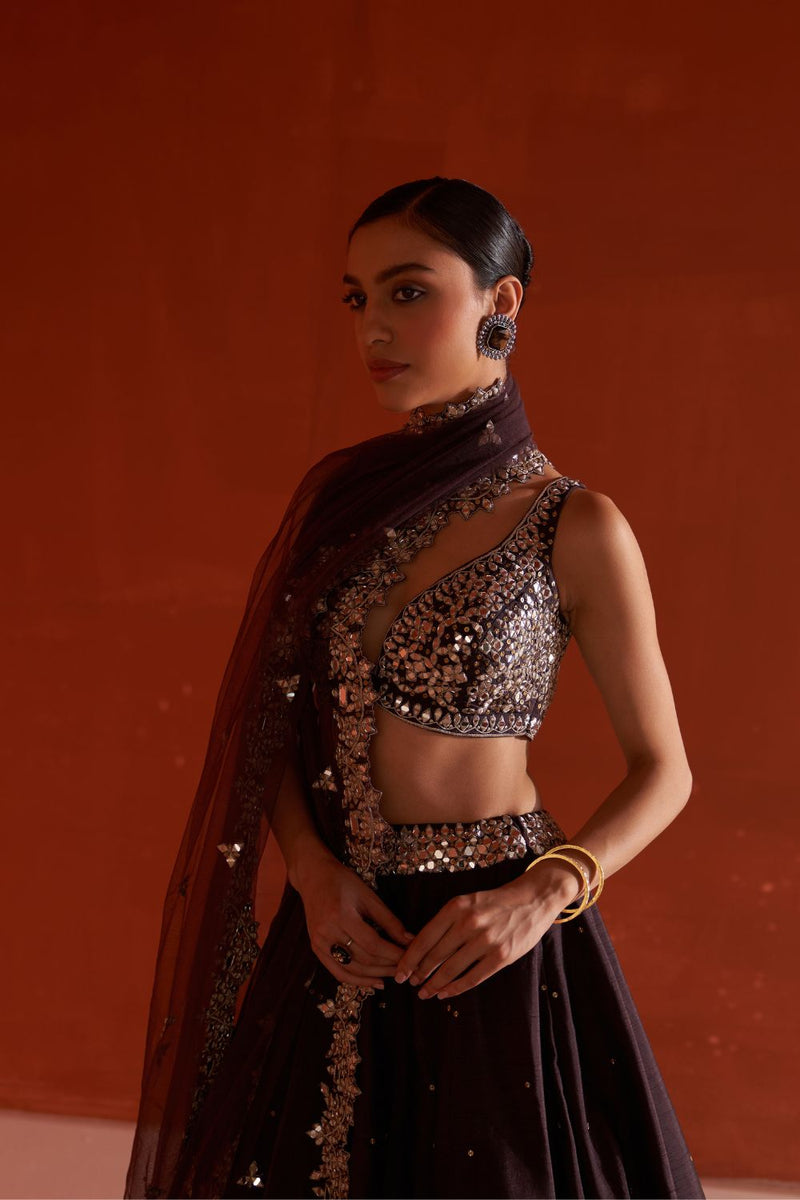 Coffee Raw Silk Lehnga Set