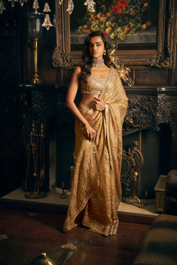 Gold Mirror Work Saree