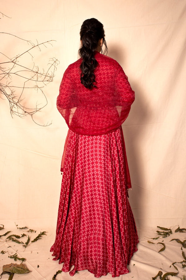 Ruby Red floor length suit with Embroidered Dupatta set