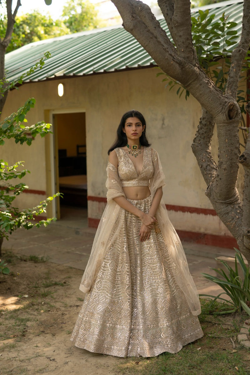 Gold Net Lehenga Set