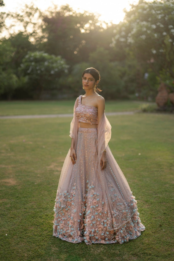 Peach Net Lehenga Set