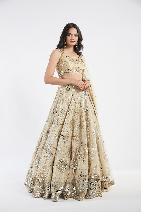 Golden Embellished Lehenga Set