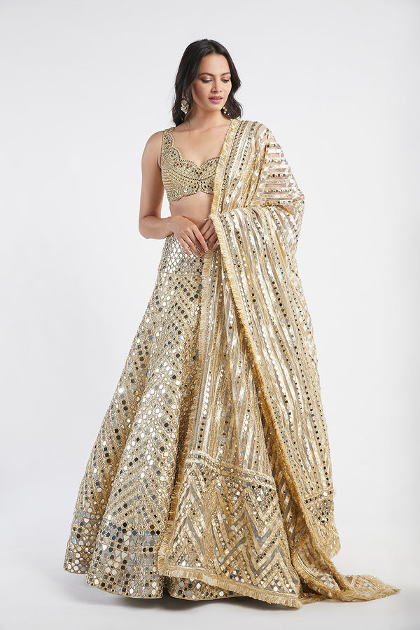 Golden Embellished Lehenga Set