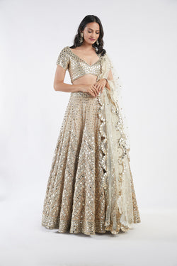 Beige And Golden Embelished  Lehenga Set