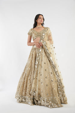 Golden Embellished Lehenga Set